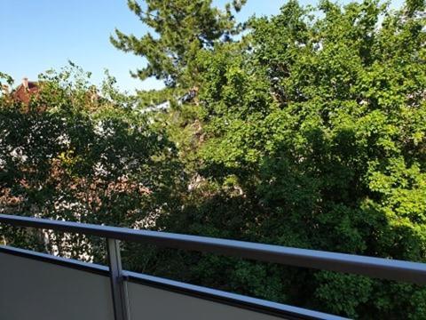 Appartement Foch A كولمار المظهر الخارجي الصورة